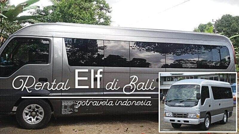 Rental Elf di Bali