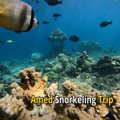 Amed Snorkeling Trip