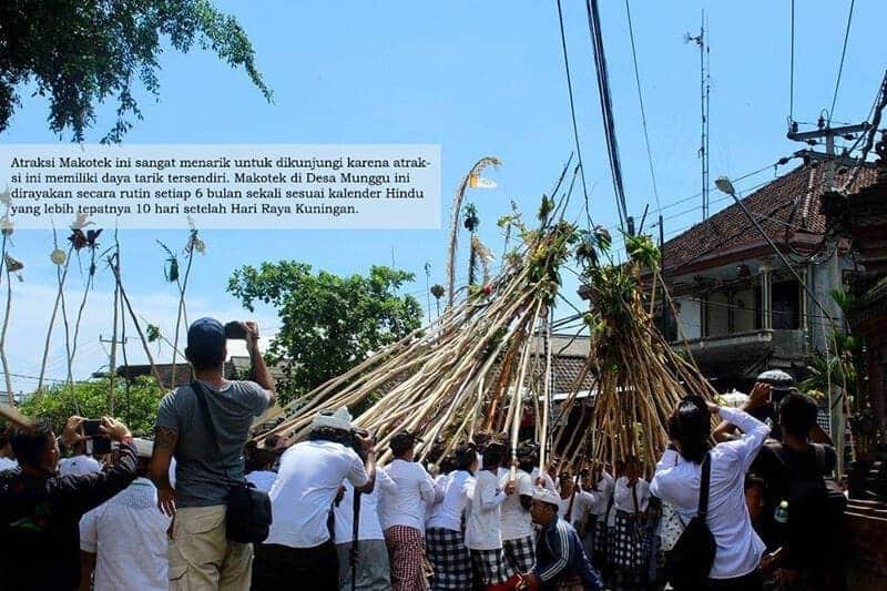 Atraksi Makotek di Desa Munggu Badung