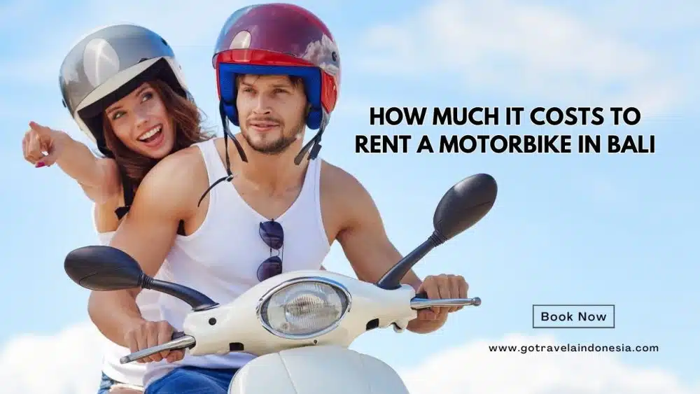 Video promo GoTravela: Sewa Motor Murah di Bali | Jasa Rental Motor Terbaik di Bali