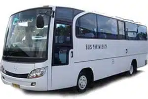 Bus Pariwisata Bajo