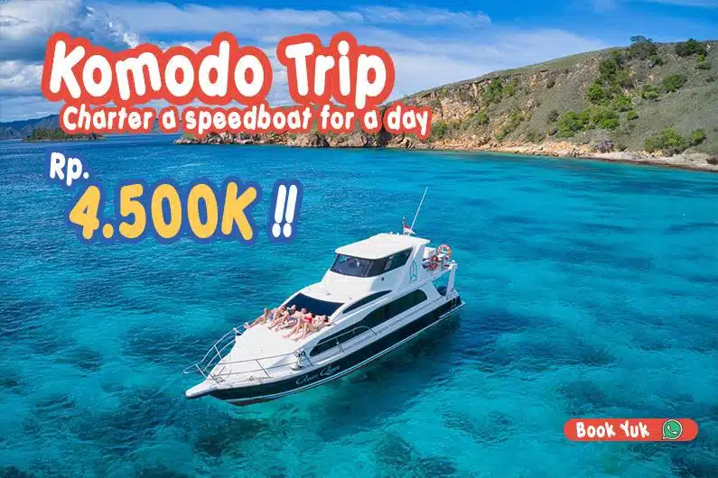 Charter-Speed-boat-Komodo
