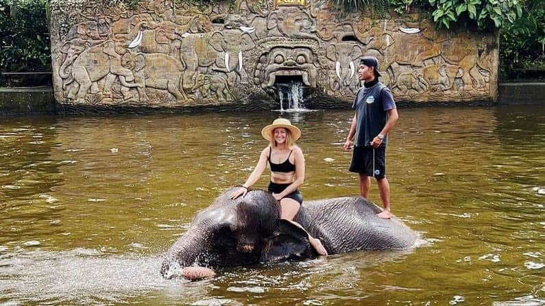 Closer Ways to Interact with Elephants