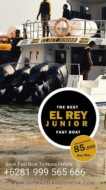 El Rey Fast Boat