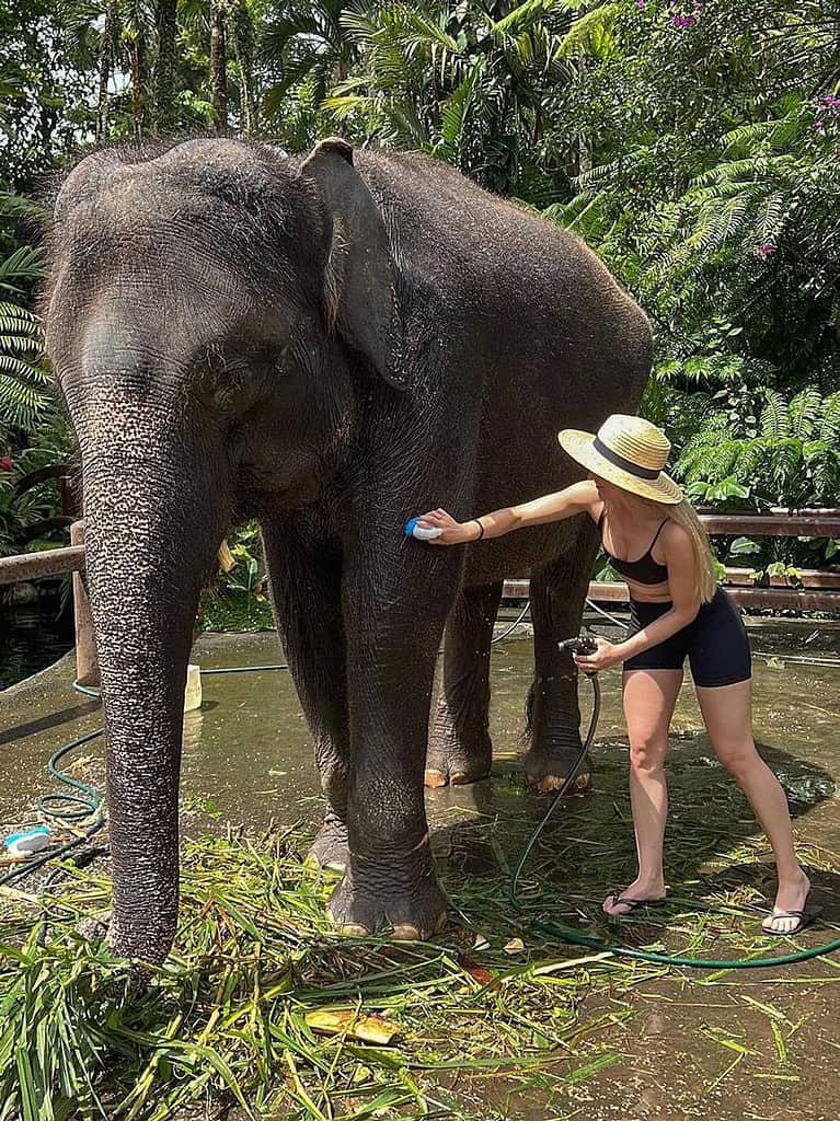 Elephant Safari Park Bali