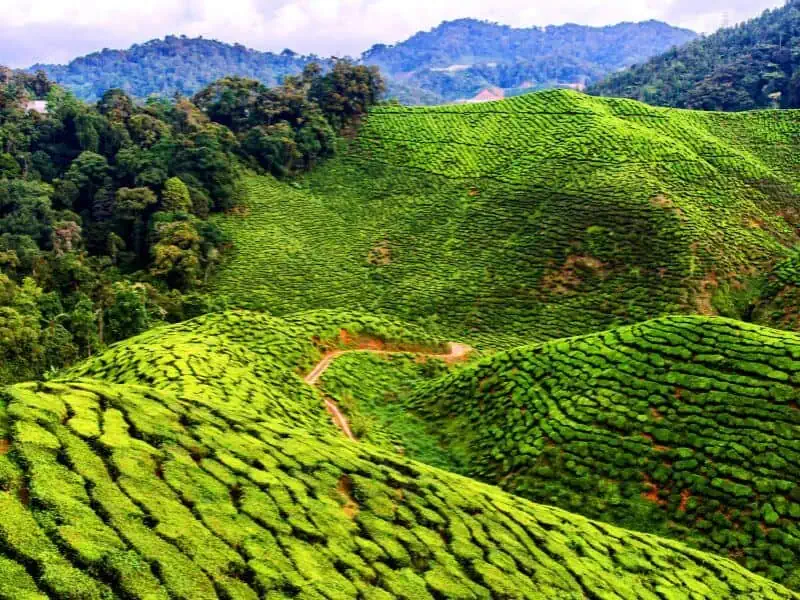 Enrekang highland Gem Wisata Makassar
