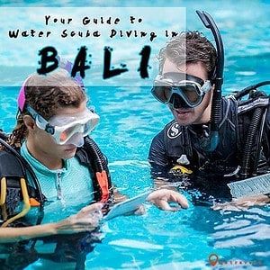 Price-Diving-In-Bali