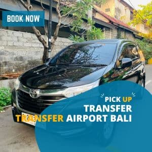 Private transfer airport bali