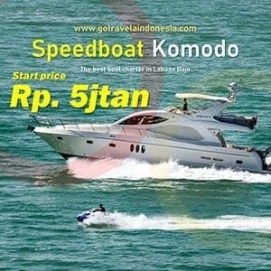 Harga-sewa-speedboat-bajo