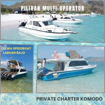 Pilihan armada multi-operator untuk sewa speedboat Labuan Bajo dan private charter Komodo