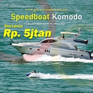 Bajo speedboat rental prices