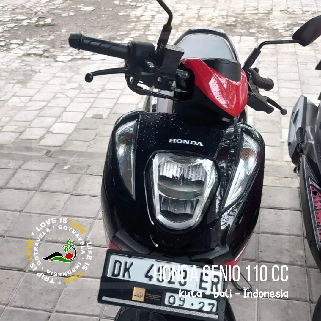 Honda genio 110cc Gotravela Scooter