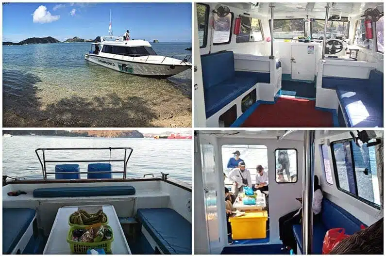 Sewa Speedboat Bajo