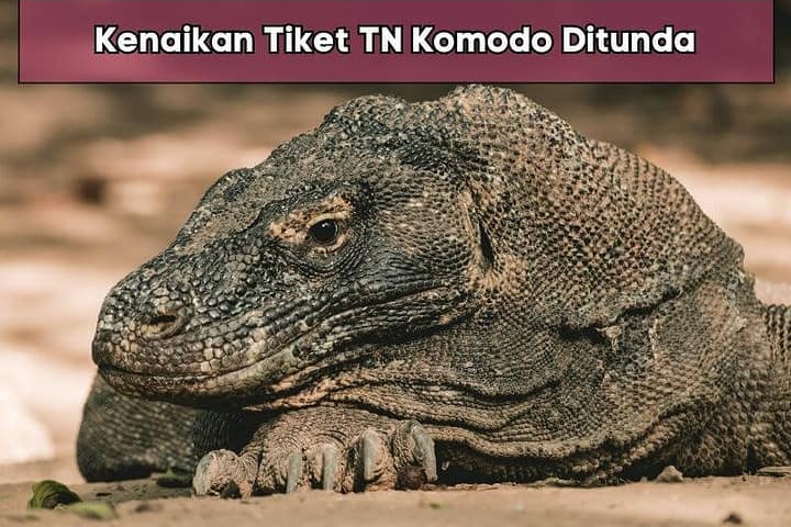 Kenaikan Tiket TN Komodo Ditunda