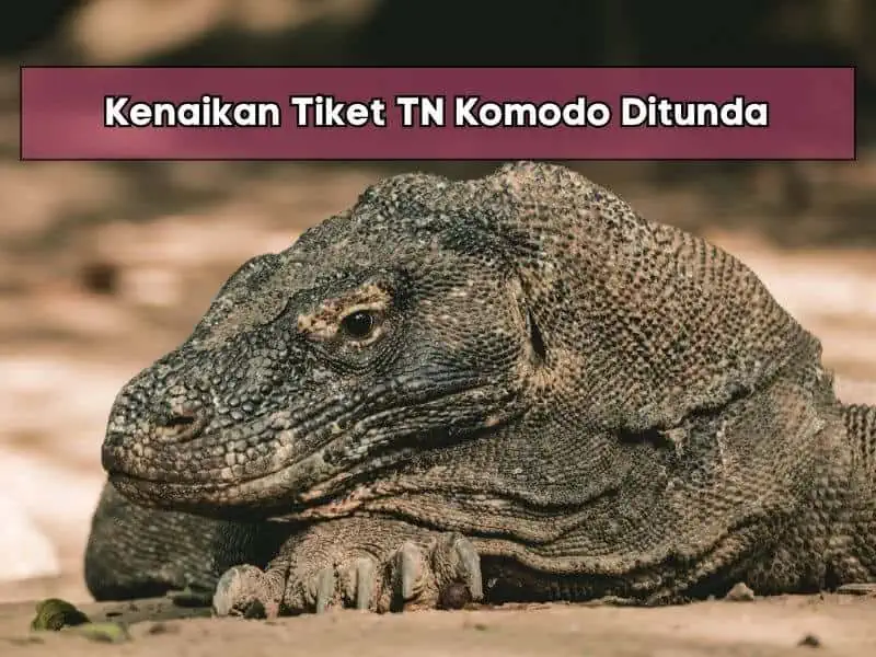Kenaikan Tiket TN Komodo Ditunda