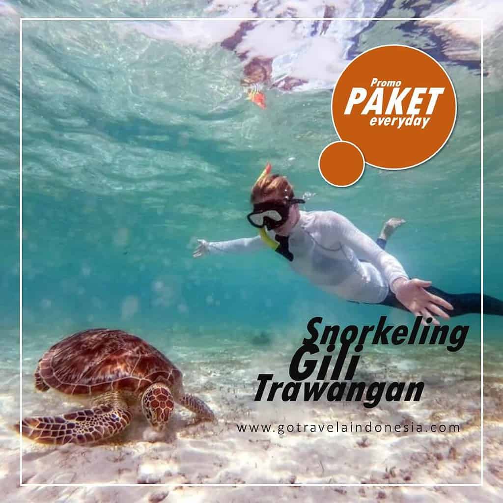 Konservasi Penyu di Gili Trawangan