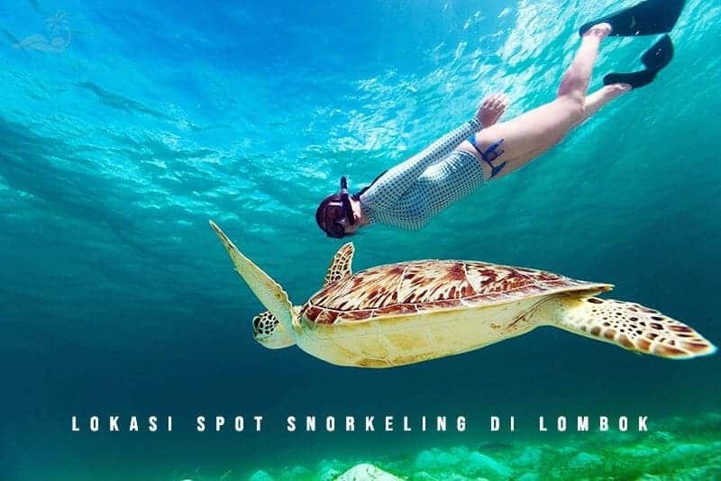 Lokasi-Spot-Snorkeling-di-Lombok