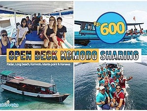 Open-deck-Komodo-bajo