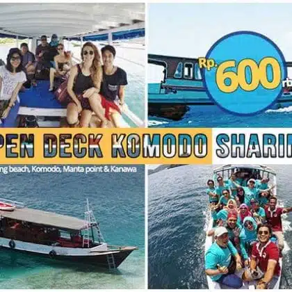 Open deck Komodo bajo