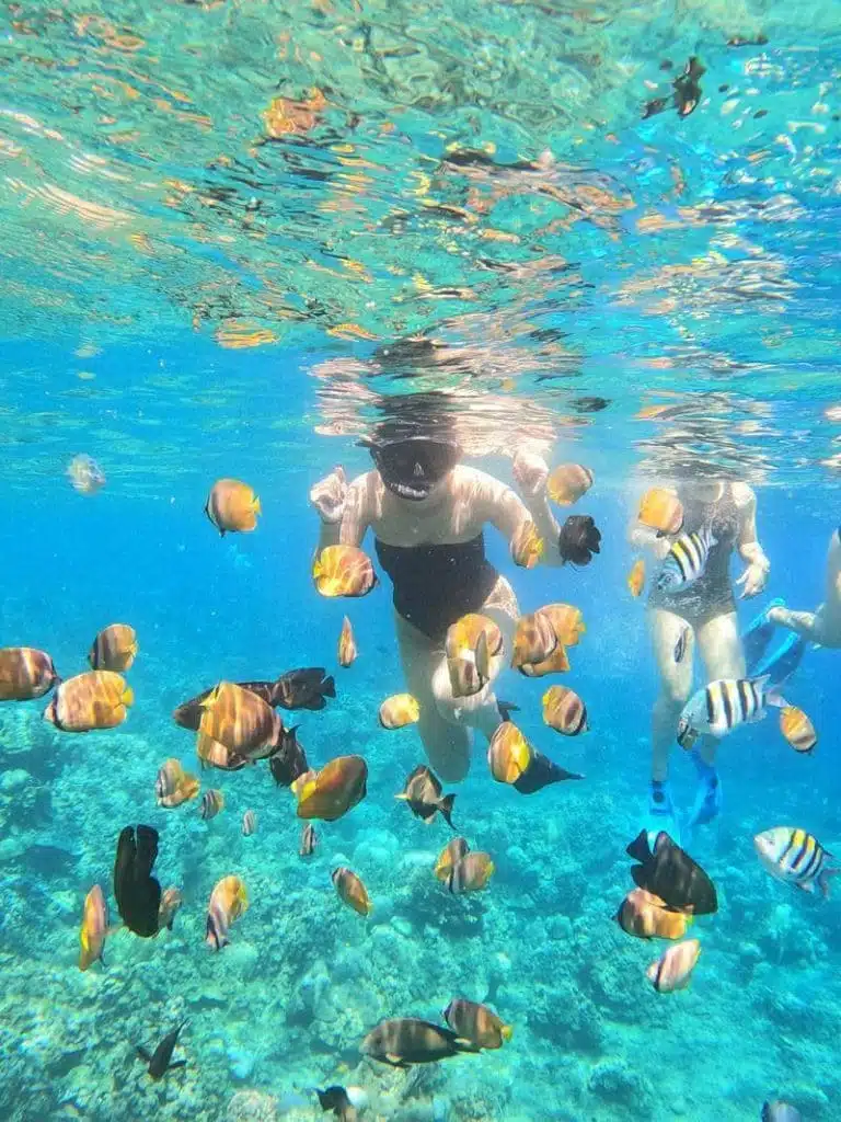 Operator Snorkeling Amed Bali