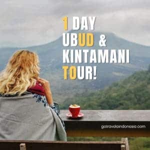 1 Day Kintamani Tour Package