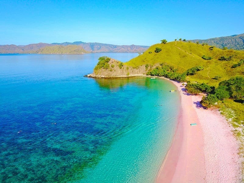 pink beach komodo