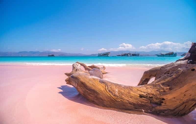 Namo Beach pink beach komodo