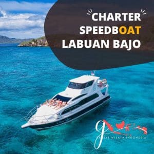 Speedboat Bajo