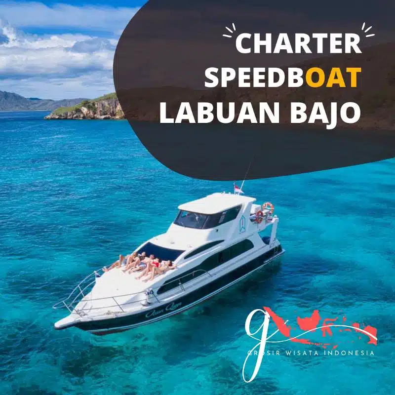 Private Charter Speedboat Labuan Bajo