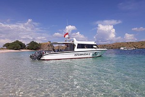 Sewa Speedboat Bajo RIFAMASENA-3