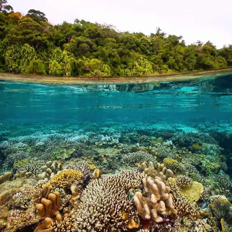 Sangalaki Island