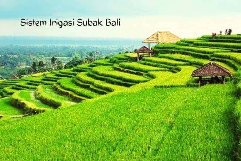 Sistem Irigasi Subak Bali