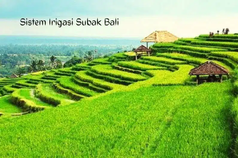 Sistem Irigasi Subak Bali