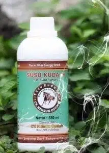 Oleh-Oleh Khas Sumbawa Susu Kuda Liar