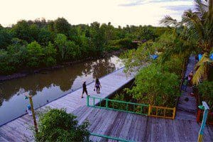 Taman Mangrove Sorong