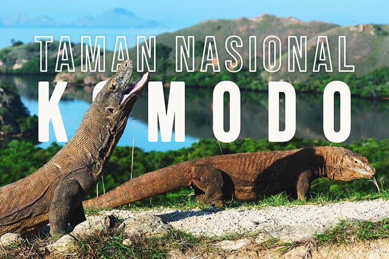 Taman Nasional Pulau Komodo 2