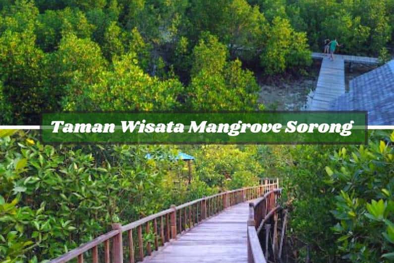 Taman Wisata Mangrove Sorong