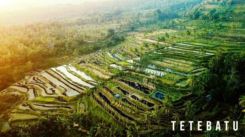 Tetebatu-Lombok