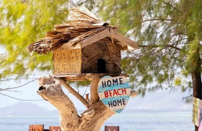 Wisata Di Sekotong Lombok