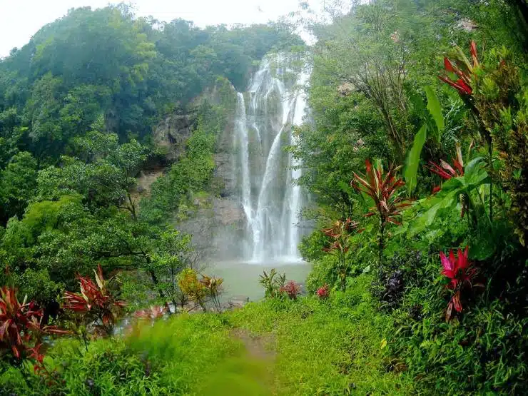 air terjun cunca rami manggarai barat