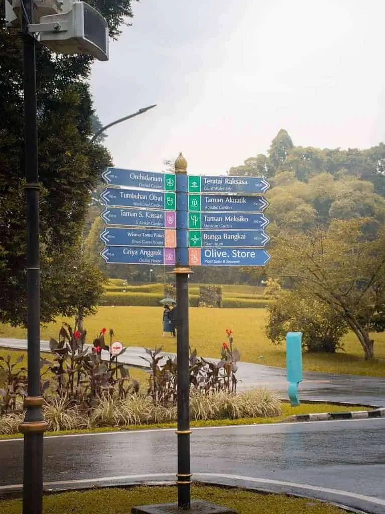 aktivitas di kebun raya bogor 2024