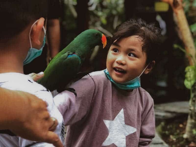 berfoto bersama burung burung di wildlife park