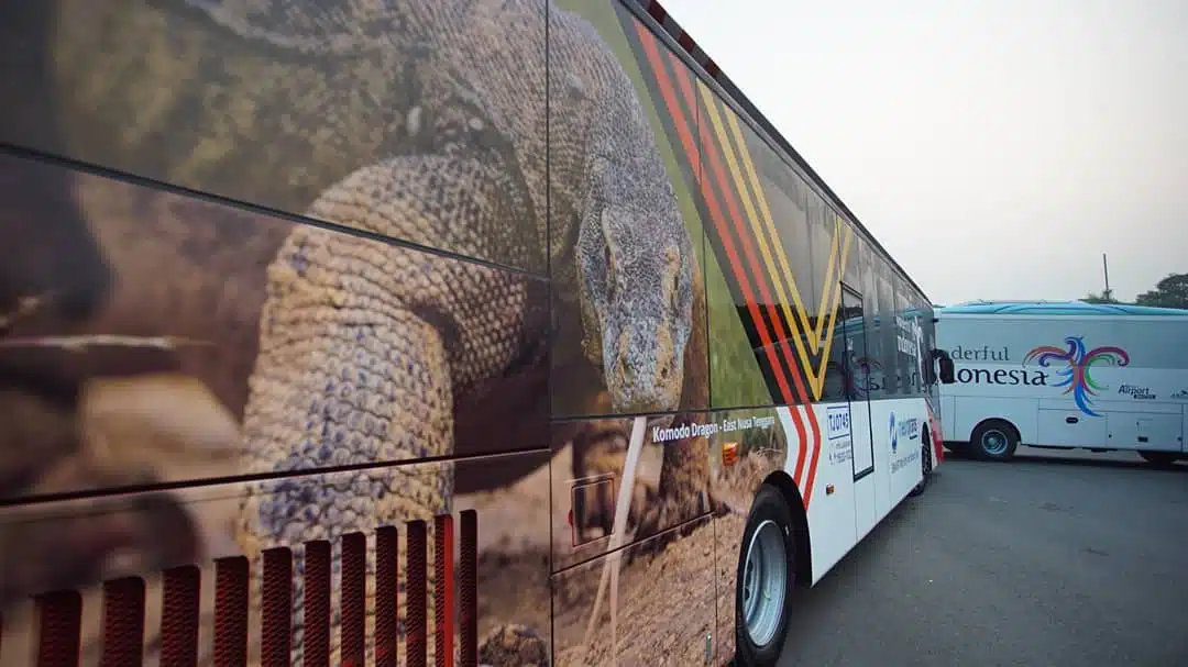 bus komodo