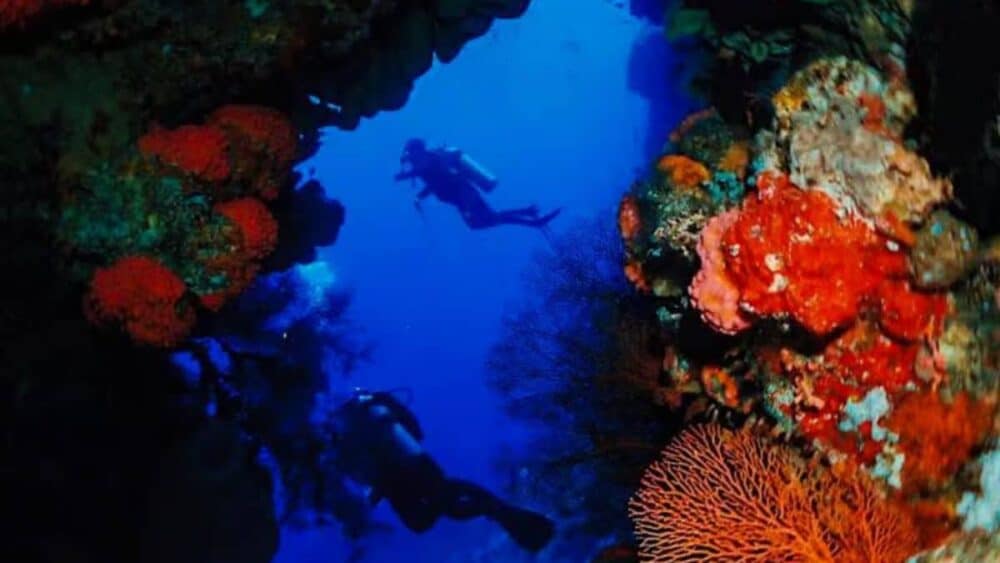 Diving spot terbaik Indonesia di kedalaman gua tropis Bali