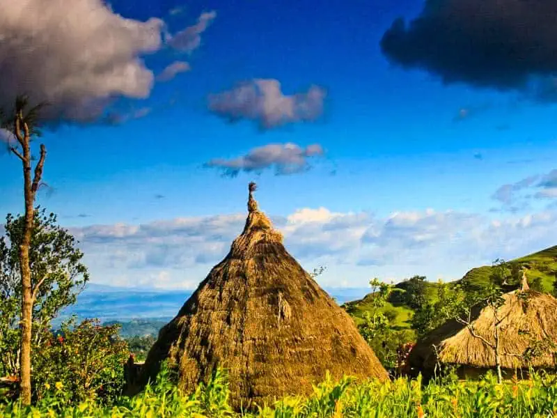 desa fatumnasi di gunung fatu timau ntt