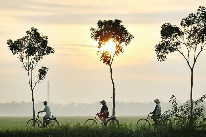 desa wisata indonesia