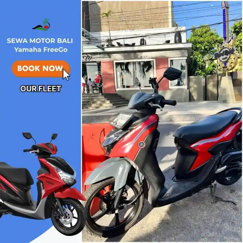 harga sewa freego bali free pengantaran