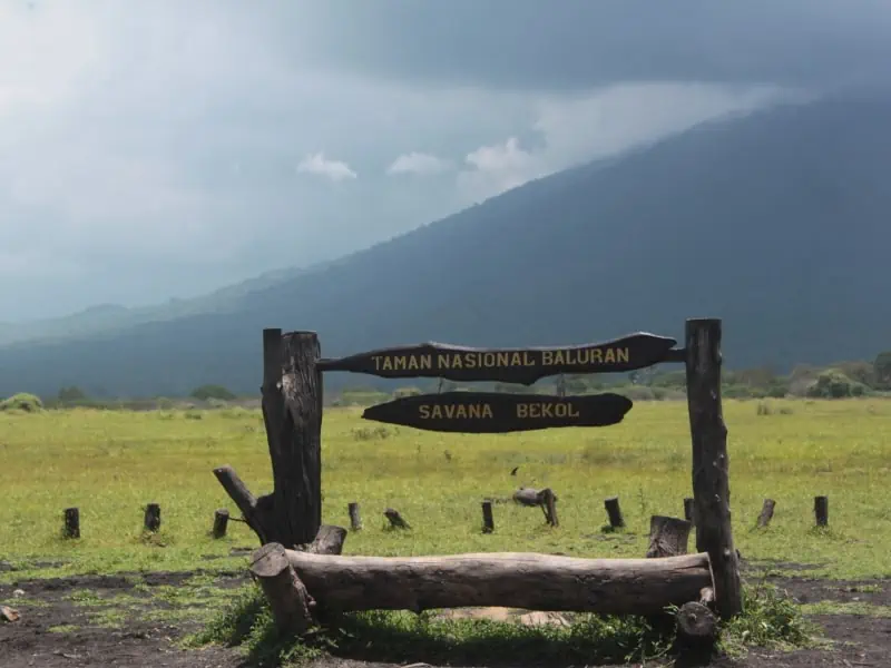 hidden gem wisata banyuwangi 2024