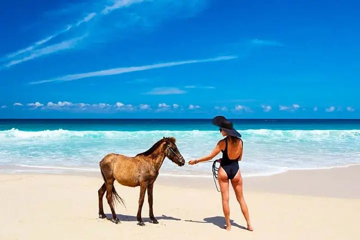 hidden gem wisata ntt