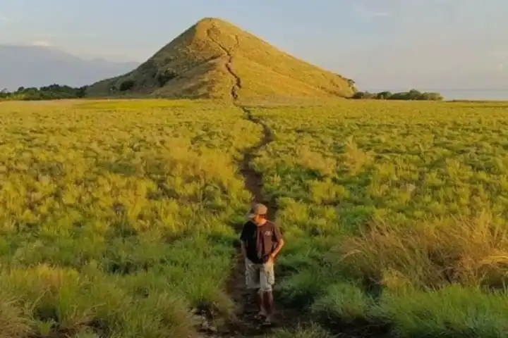 Savana Indahnya Pariwisata Pulau Kenawa Sumbawa